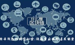 比特币钱包的财富秘密：