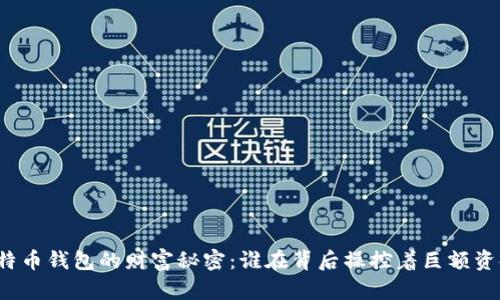 比特币钱包的财富秘密：谁在背后操控着巨额资金？