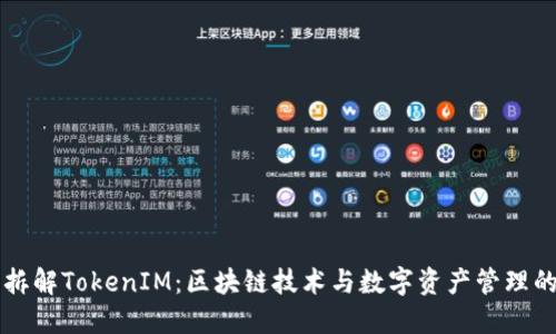 深入拆解TokenIM：区块链技术与数字资产管理的未来