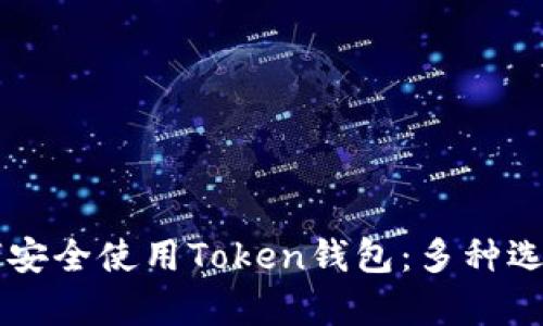 国内用户如何安全使用Token钱包：多种选择与风险分析