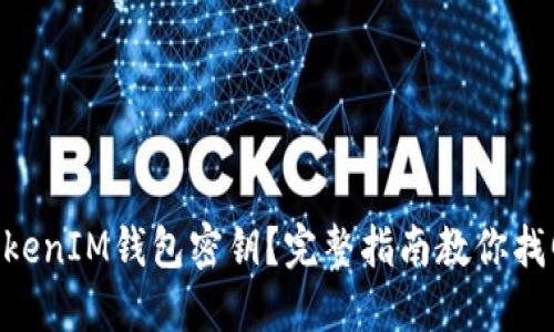 忘记TokenTokenIM钱包密钥？完整指南教你找回或解决问题