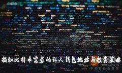 揭秘比特币富豪的私人钱