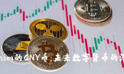 ### 

认识Tokenim的CNY币：未来数字货币的潜力与挑战