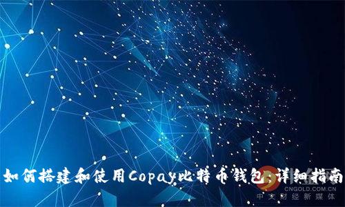 如何搭建和使用Copay比特币钱包：详细指南