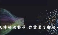 钱包中的比特币：你需要