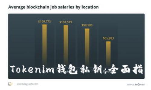 如何安全提取Tokenim钱包私钥：全面指南与注意事项
