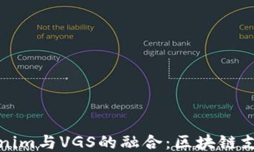 
探索Tokenim与VGS的融合：区块链支付的未来