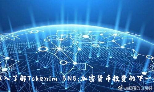 深入了解Tokenim BNB：加密货币投资的下一步