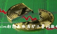 解决Tokenim打包失败与矿工