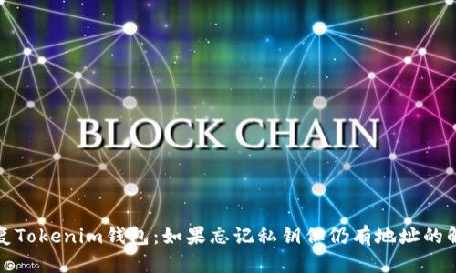 如何恢复Tokenim钱包：如果忘记私钥但仍有地址的解决方案