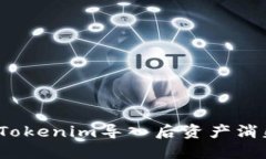 如何解决Tokenim导入后资产