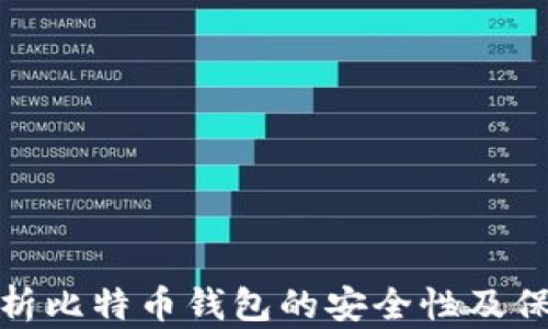 
全面解析比特币钱包的安全性及保护措施