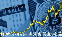 如何处理Tokenim币消失问题
