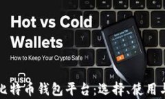 全面解析比特币钱包平台