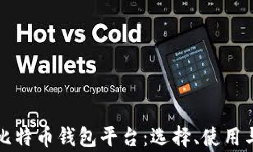 
全面解析比特币钱包平台：选择、使用与安全指南