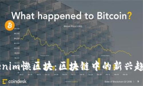 解密Tokenim懒区块：区块链中的新兴趋势与应用