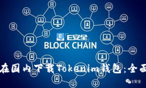 如何在国内下载Tokenim钱包：全面指南