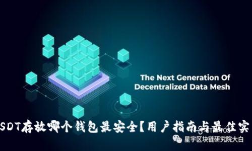 USDT存放哪个钱包最安全？用户指南与最佳实践