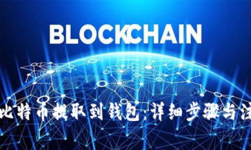 如何将比特币提取到钱包：详细步骤与注意事项
