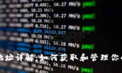 USDT钱包地址详解：如何获