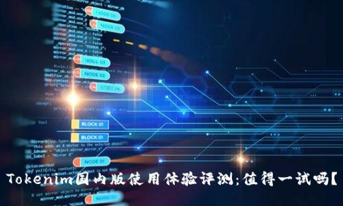 Tokenim国内版使用体验评测：值得一试吗？