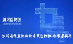 如何有效监测比特币钱包
