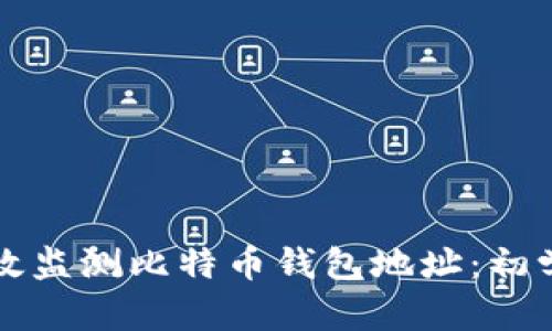 如何有效监测比特币钱包地址：初学者指南