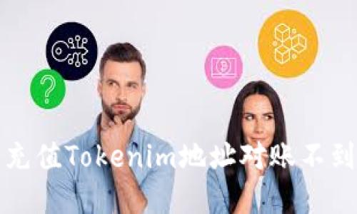 如何解决充值Tokenim地址对账不到账的问题