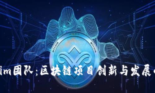 Tokenim团队：区块链项目创新与发展的先锋