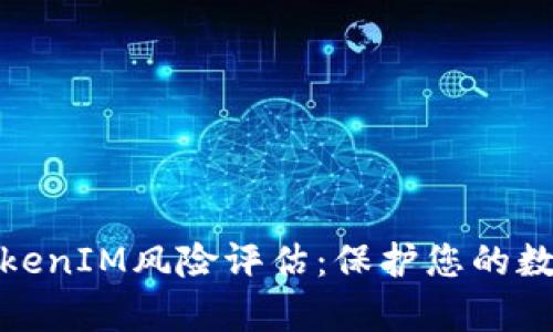 全面解析TokenIM风险评估：保护您的数字资产安全