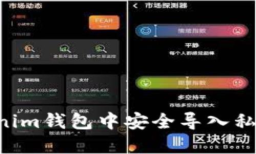 如何在Tokenim钱包中安全导入私钥：完整指南