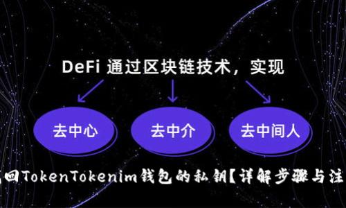 如何找回TokenTokenim钱包的私钥？详解步骤与注意事项