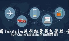 如何使用Tokenim进行批量钱