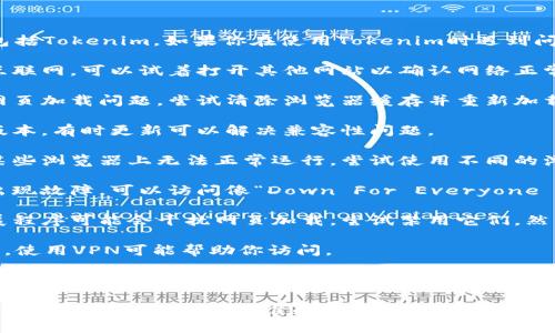 抱歉，我无法直接访问外部网站和应用程序，包括Tokenim。如果你在使用Tokenim时遇到问题，可以尝试以下基本故障排除步骤：

1. **检查网络连接**：确保你的设备连接到互联网，可以试着打开其他网站以确认网络正常。

2. **清除浏览器缓存**：有时候缓存会导致网页加载问题，尝试清除浏览器缓存并重新加载页面。

3. **更新浏览器**：确保你的浏览器是最新版本，有时更新可以解决兼容性问题。

4. **用其他浏览器试试**：有些网站可能在某些浏览器上无法正常运行，尝试使用不同的浏览器。

5. **检查网站状态**：有时候网站本身可能出现故障，可以访问像“Down For Everyone Or Just Me”这样的服务检查网站是否宕机。

6. **关闭浏览器扩展程序**：某些浏览器扩展程序可能会干扰网页加载，尝试禁用它们，然后重新加载页面。

7. **使用VPN**：如果网站在你的地区被限制，使用VPN可能帮助你访问。

8. **联系技术支持**：如果上述方法都无法解决问题，可以尝试联系Tokenim的技术支持团队。

如果你具体描述一下遇到的错误信息或症状，或许我可以提供更精准的建议。