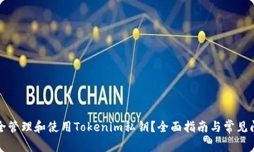 如何安全管理和使用Tokenim私钥？全面指南与常见问题解答