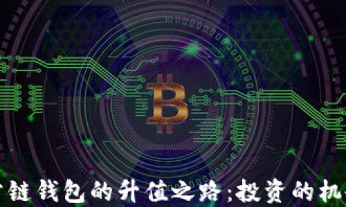 
以太坊公链钱包的升值之路：投资的机会与风险
