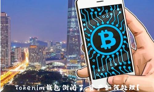 
Tokenim钱包倒闭了，资产如何处理？