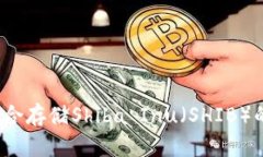 如何选择适合存储Shiba I