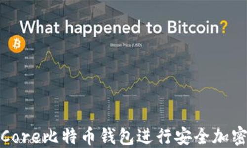 
如何使用Core比特币钱包进行安全加密货币管理