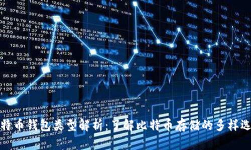比特币钱包类型解析：了解比特币存储的多样选择