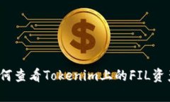 如何查看Tokenim上的FIL资产