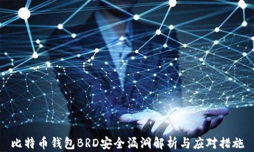 
比特币钱包BRD安全漏洞解析与应对措施