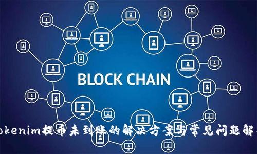 Tokenim提币未到账的解决方案与常见问题解析