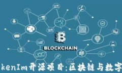 深入了解TokenIm开源项目：