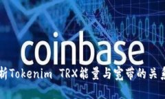 全面解析Tokenim TRX能量与宽