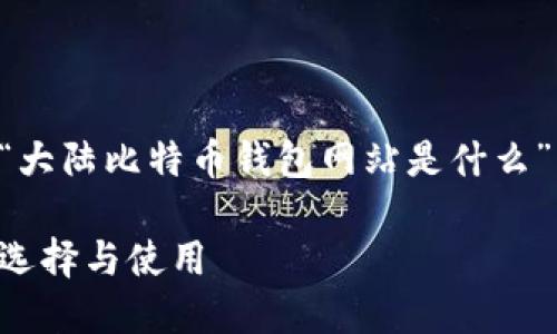 为了满足您的要求，下面是一个针对“大陆比特币钱包网站是什么”的主题的、相关关键词以及内容大纲。

大陆比特币钱包网站完全指南：如何选择与使用