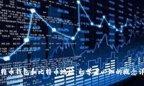 比特币钱包和比特币地址：初学者必知的概念详解