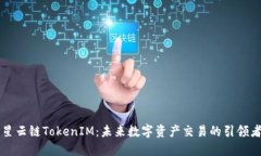 星云链TokenIM：未来数字资