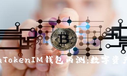 全面解读TokenTokenIM钱包内测：数字资产新风口的崛起