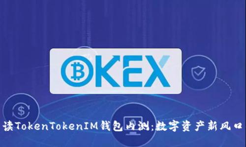 全面解读TokenTokenIM钱包内测：数字资产新风口的崛起